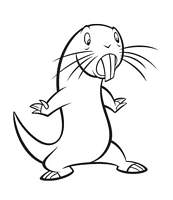 coloriage kim possible rufus